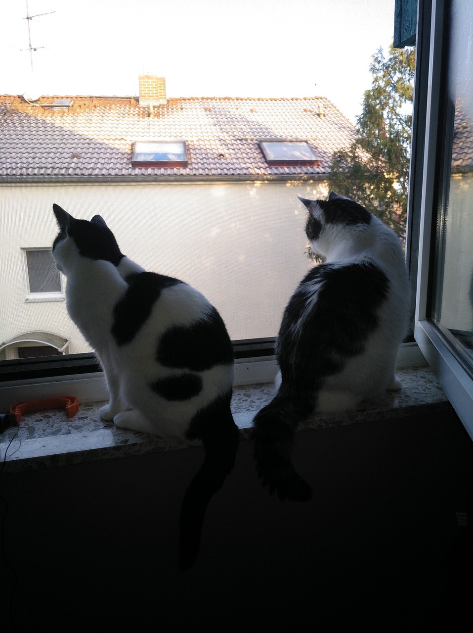 Max und Melika