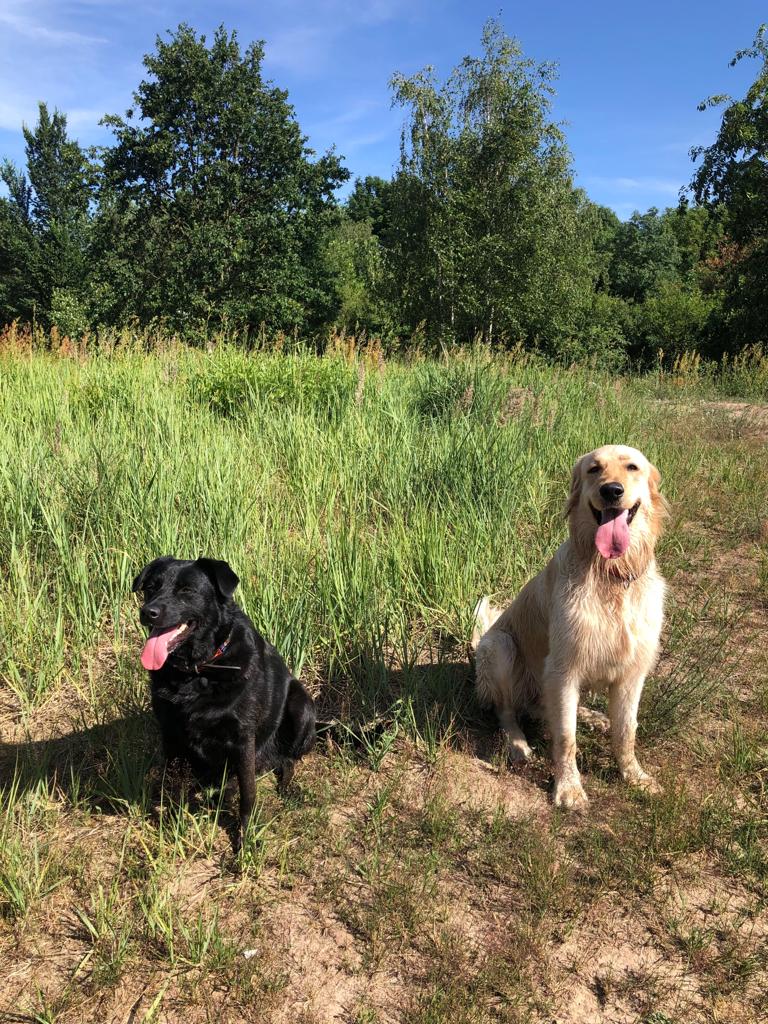 Nori und Lucky