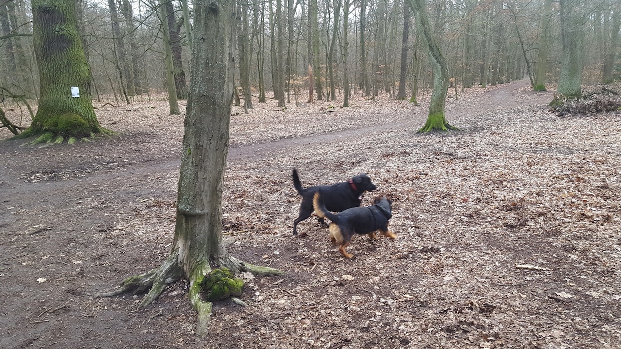 Nori und Sly