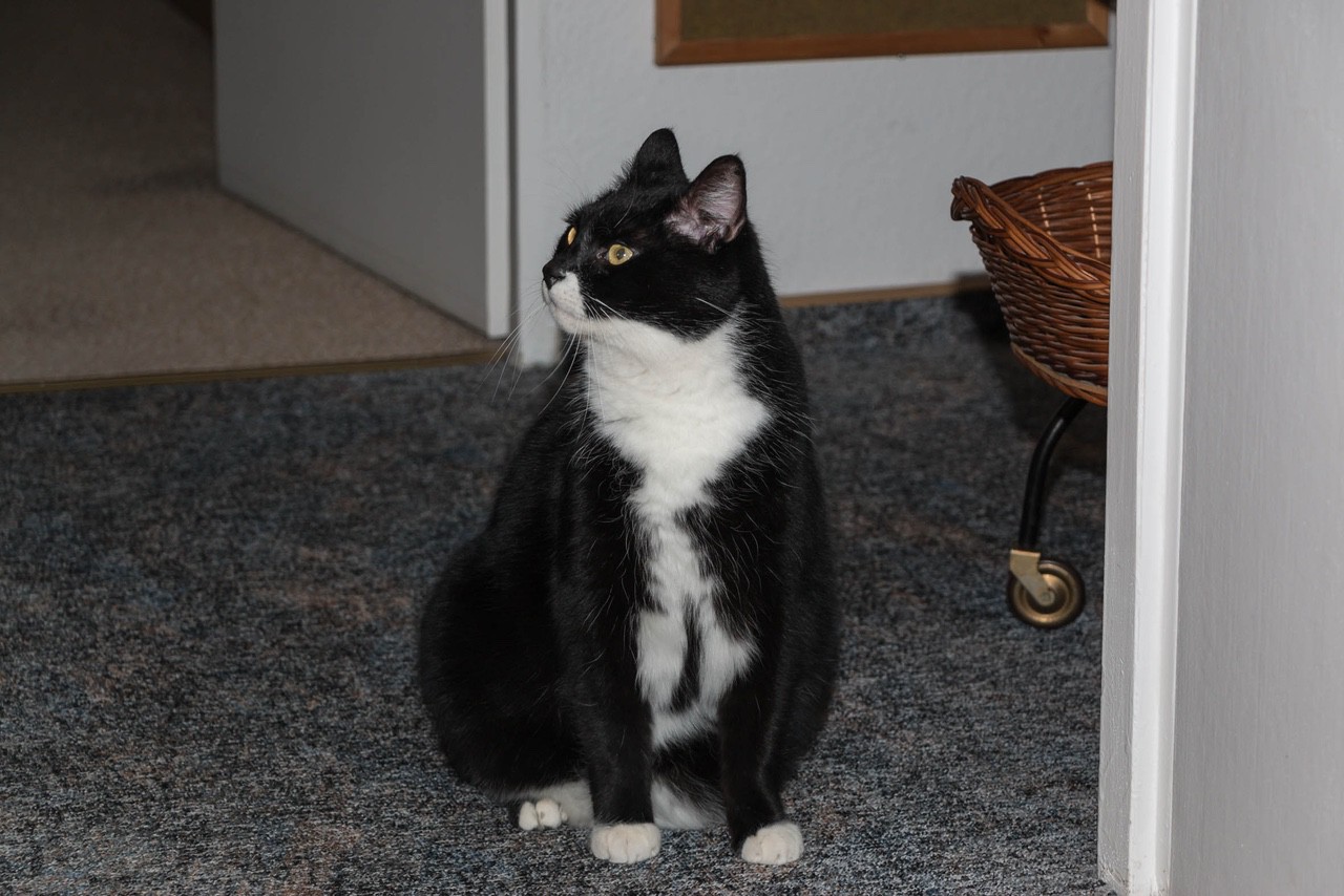 Schnittchen