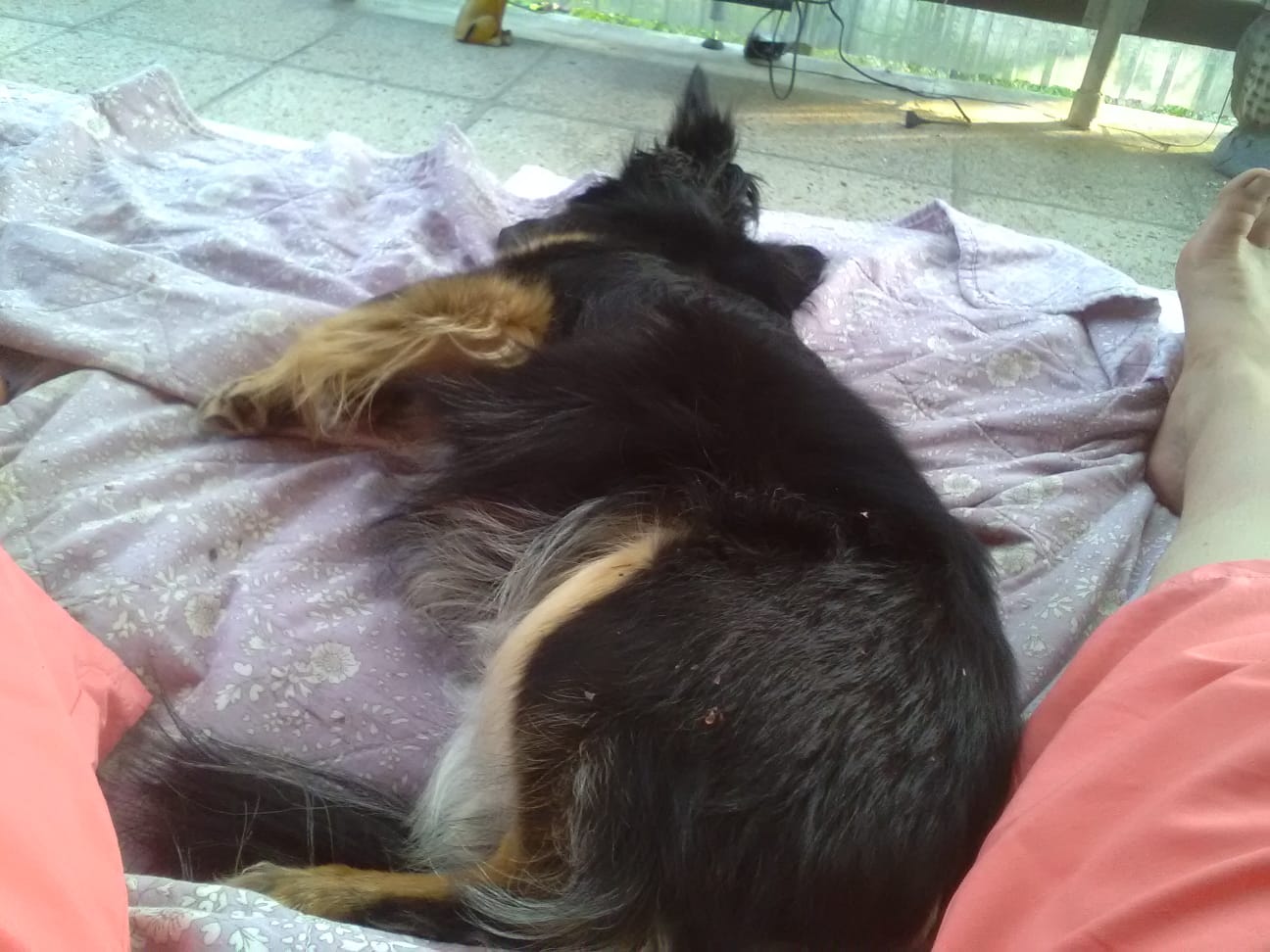 Urlaub 2019
