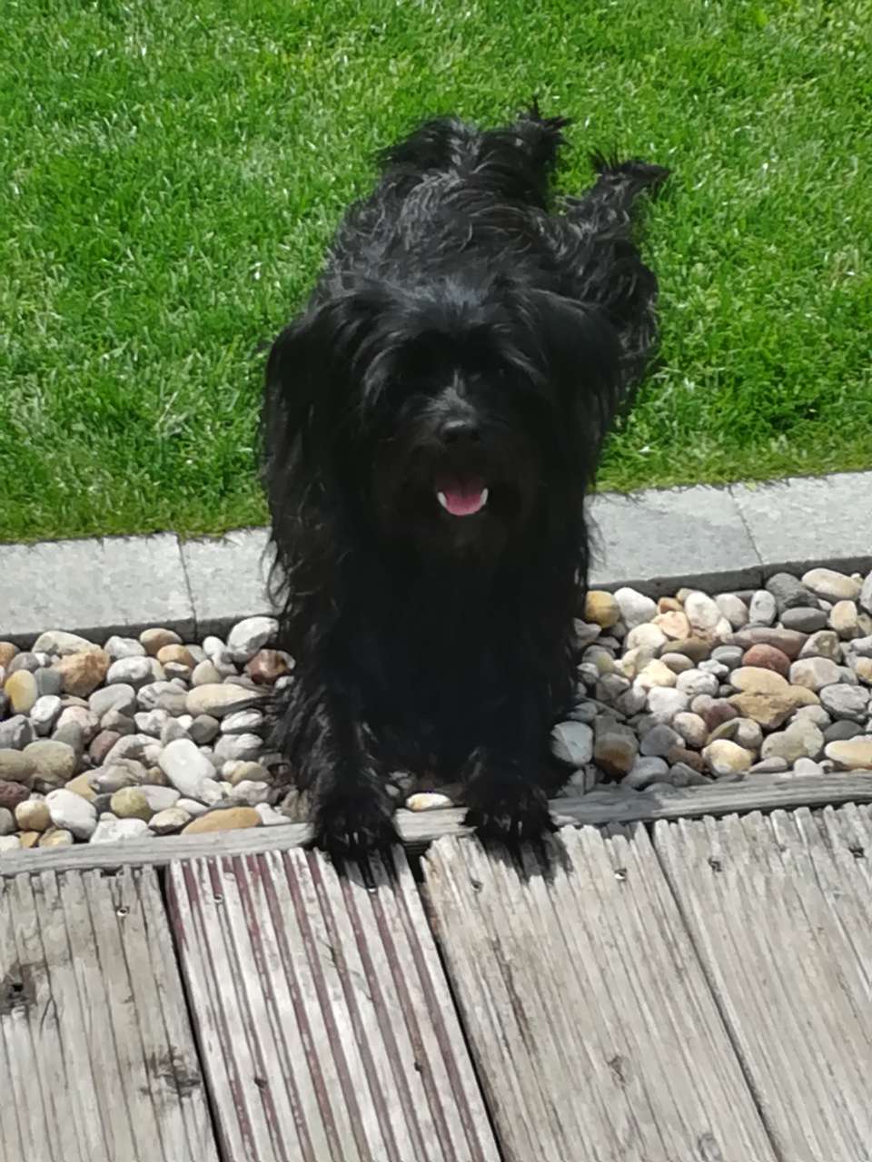 Emmi
