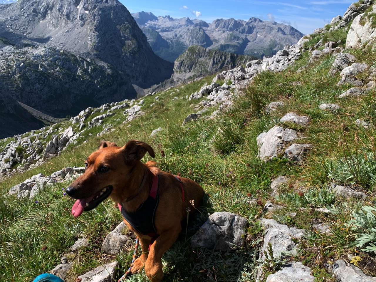 Matteo
