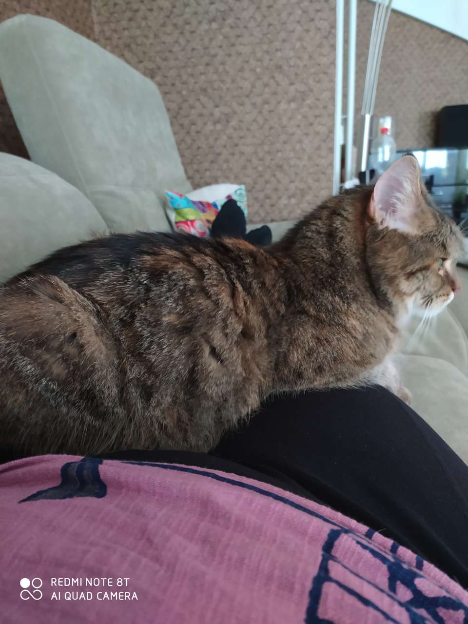 Maya