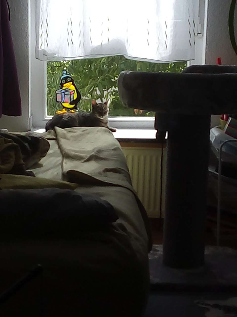 Nemo udn Amelly