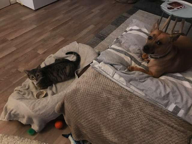 Bonny und Benny