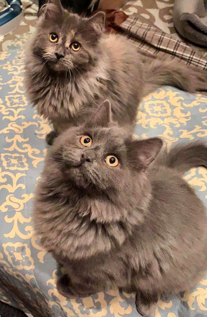 Charly und Ronja