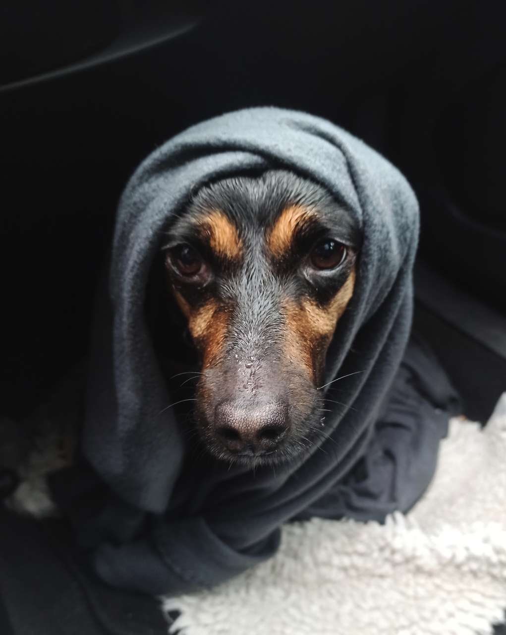 Dora