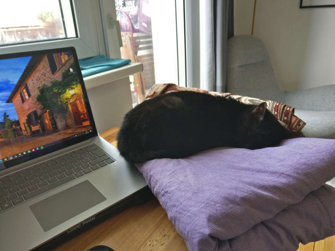 Jiji und Spot