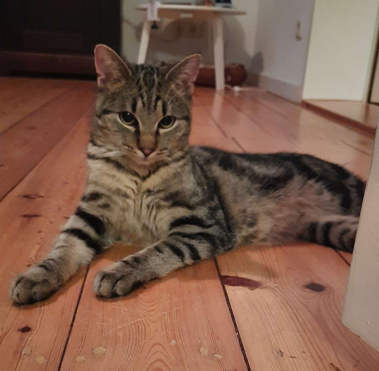 Kito