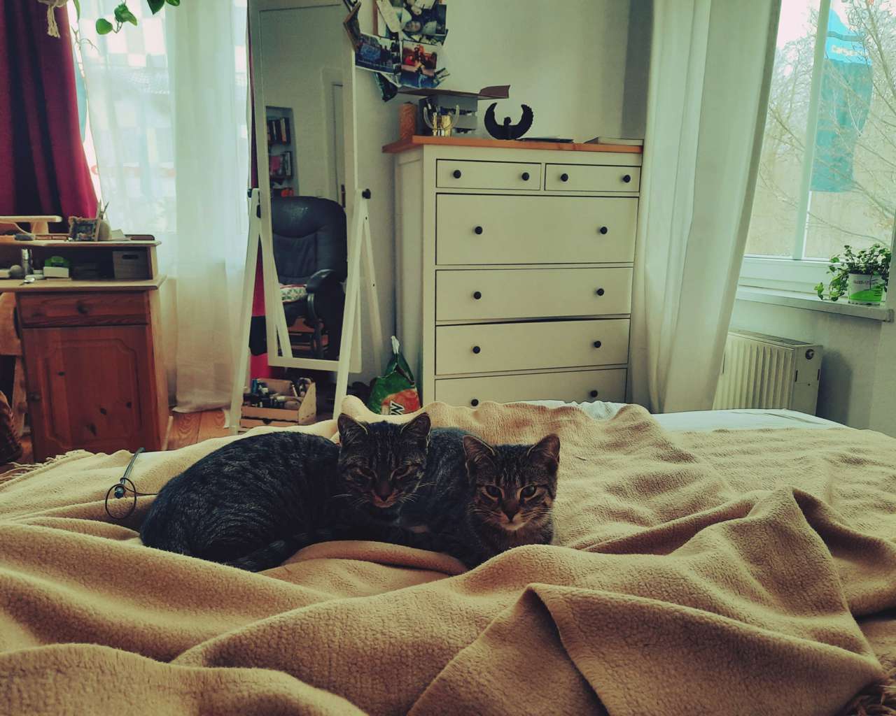 Samu und Sera