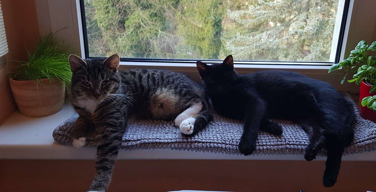 Adonis und Mimmy