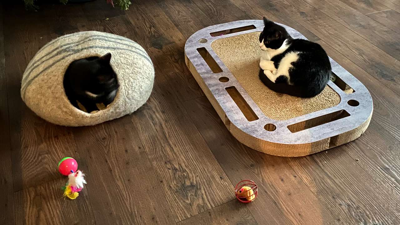 Fanty und Inge