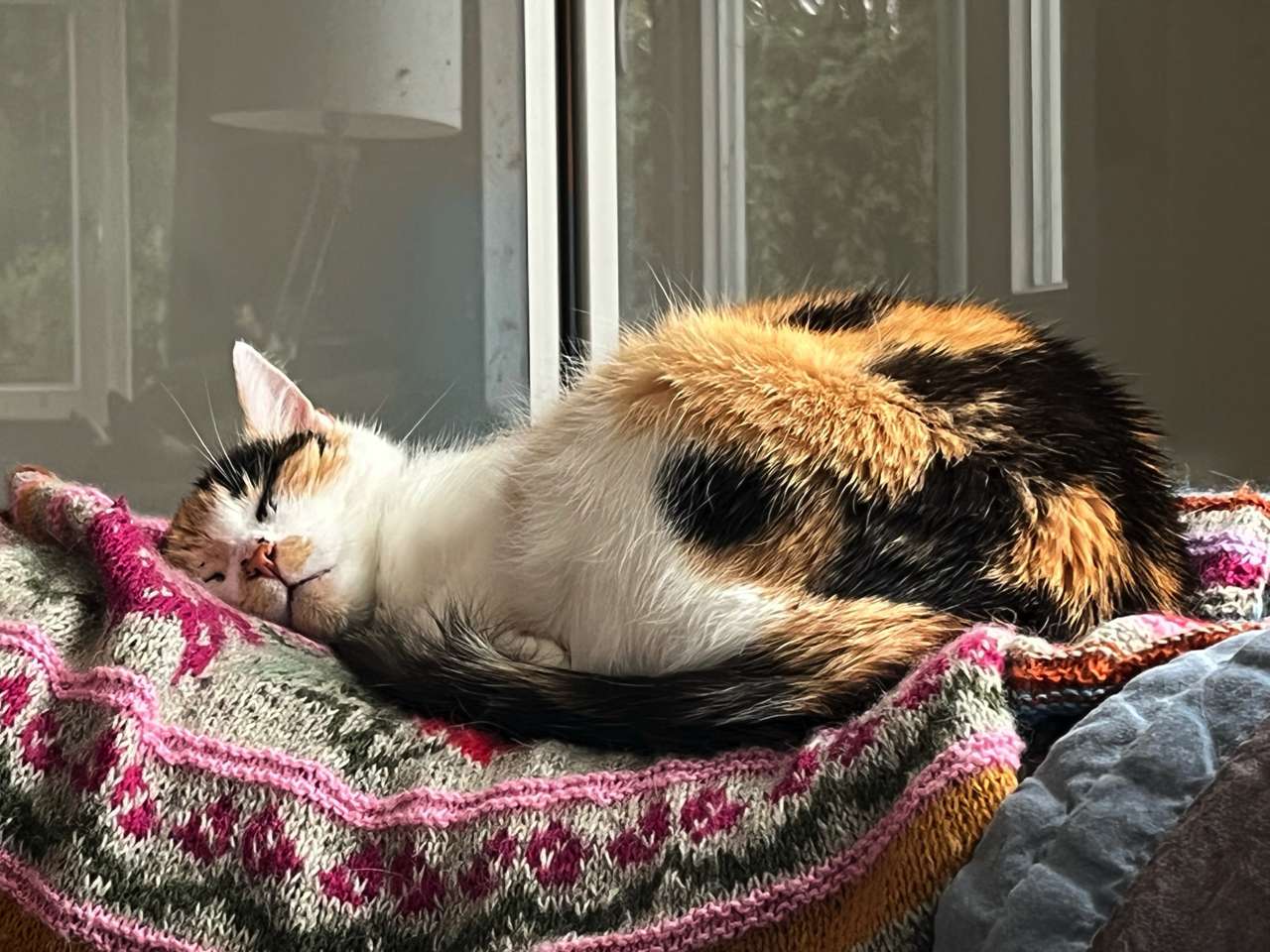 Luni