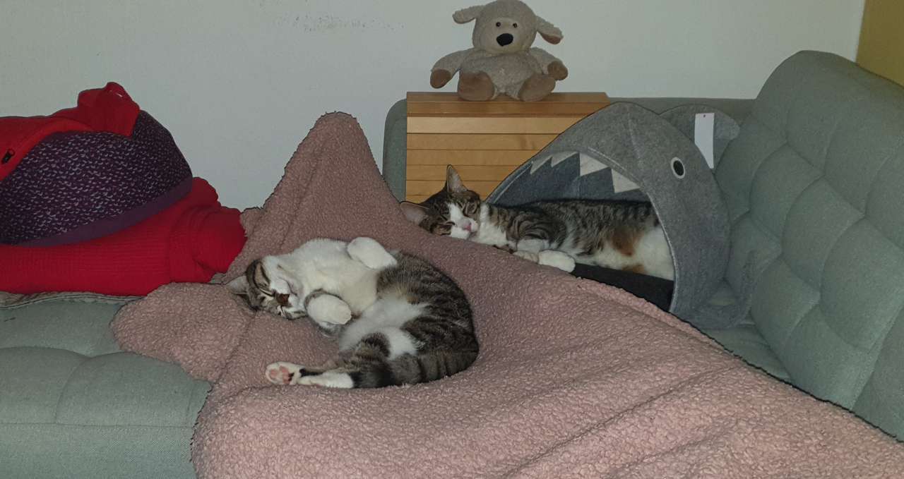 Nico und Nica