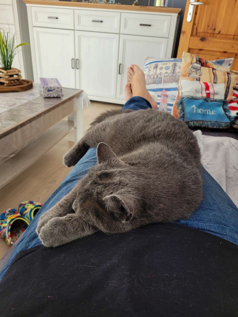 Neues vom Brummelbär