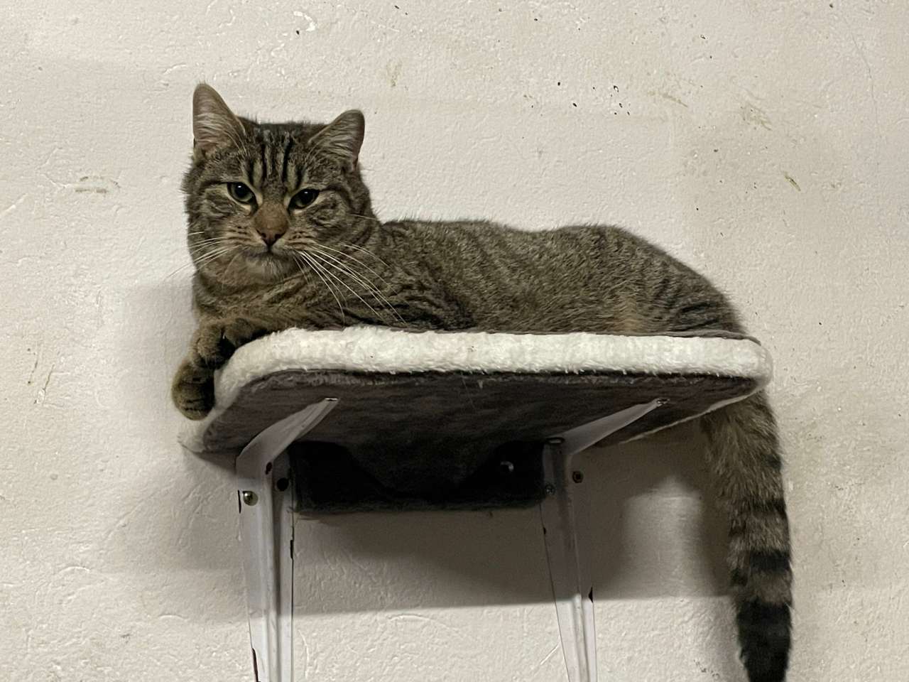 Sam