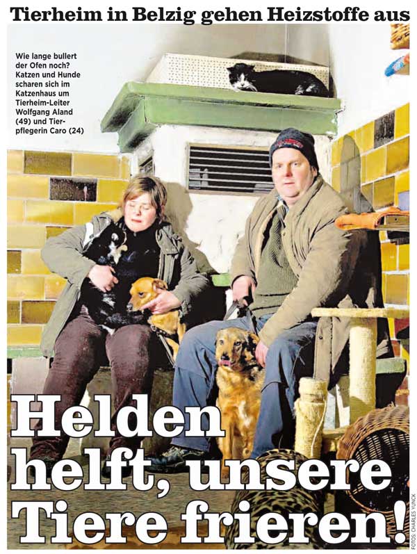 Frierende Tiere