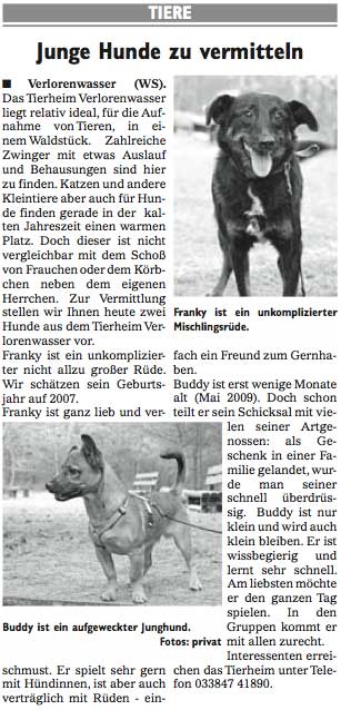Wochenspiegel_KW51