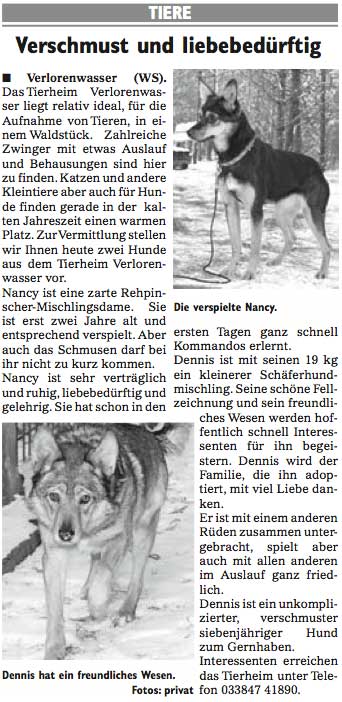 Wochenspiegel_KW02
