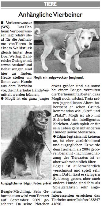 Wochenspiegel_KW06