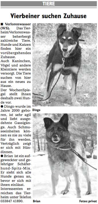 Wochenspiegel_KW11