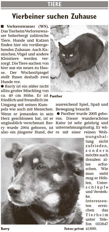 Wochenspiegel_KW13