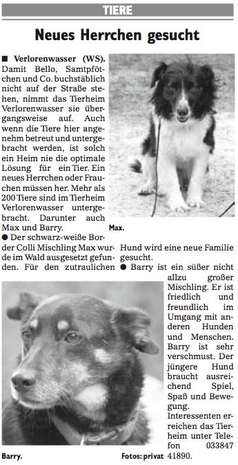 Wochenspiegel_KW15