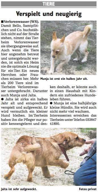 Wochenspiegel_KW16