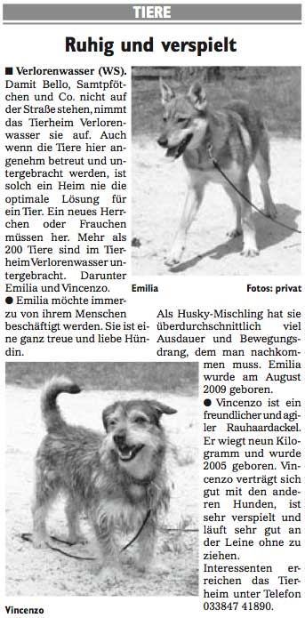 Wochenspiegel_KW26