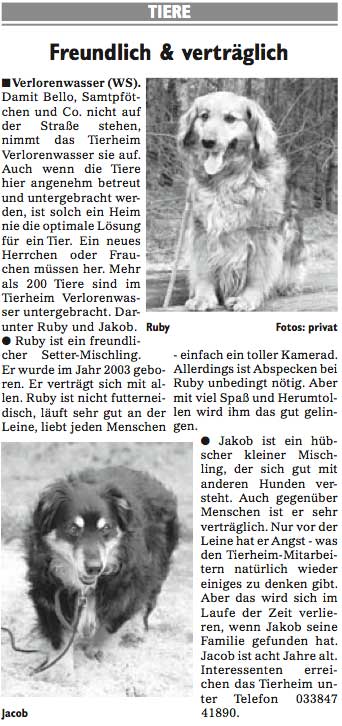Wochenspiegel_KW30