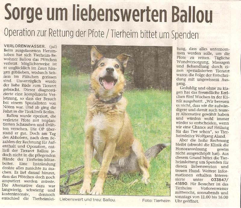 brawo0508 01