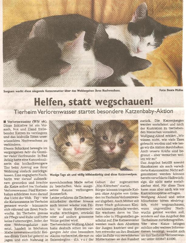 rettensieleben