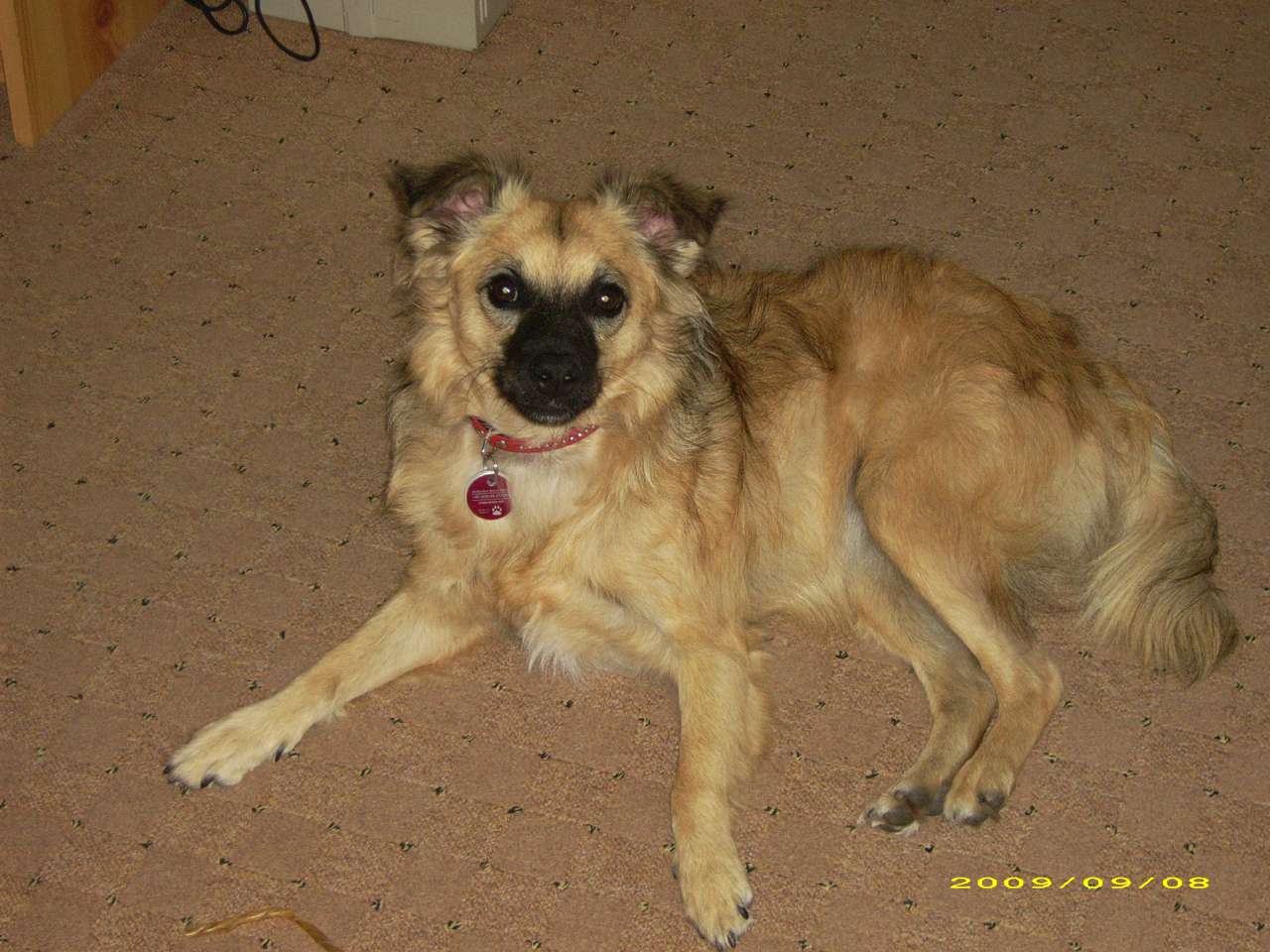 Cheyenne