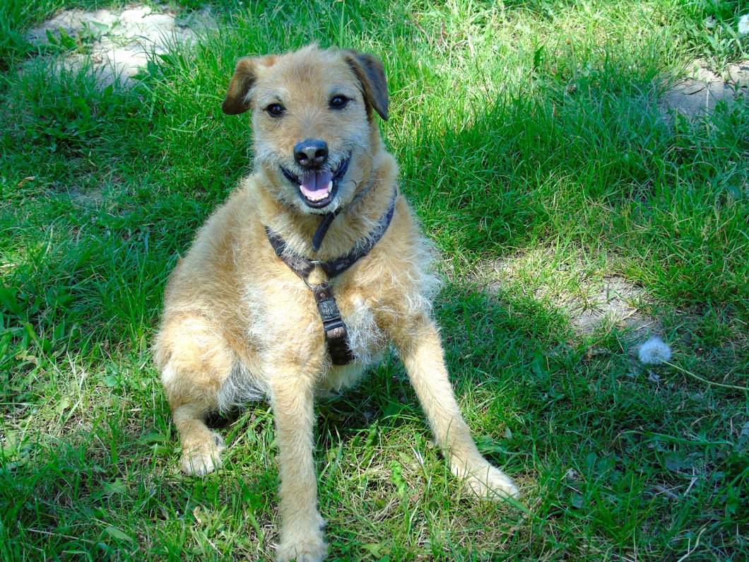 Monty