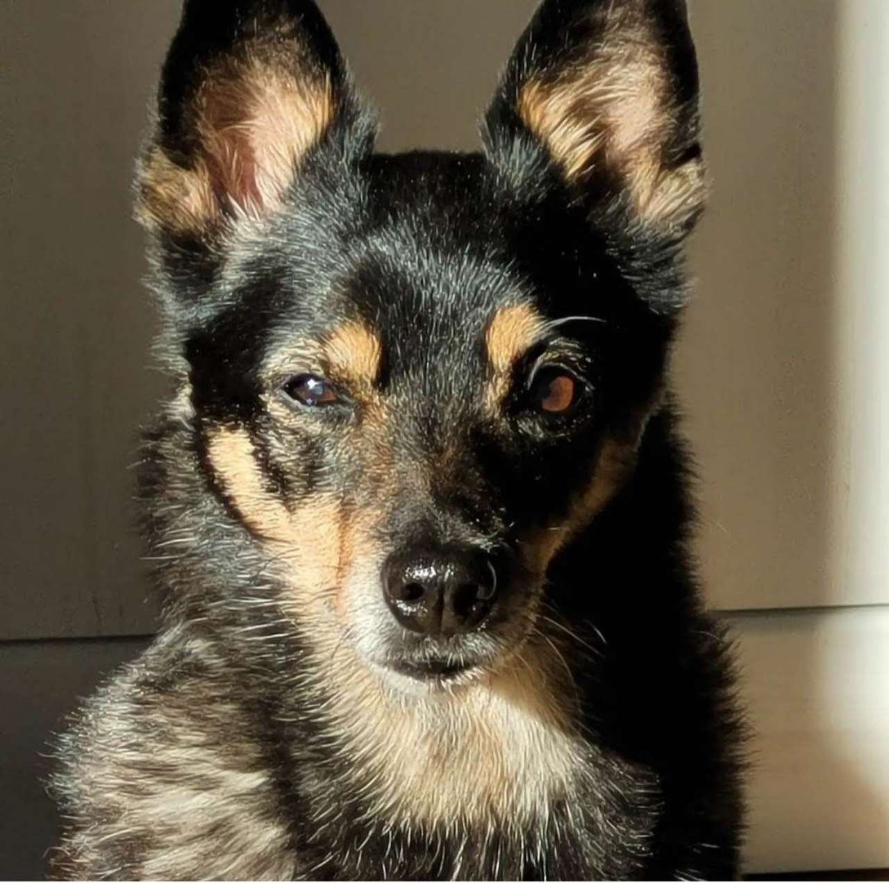 Nora