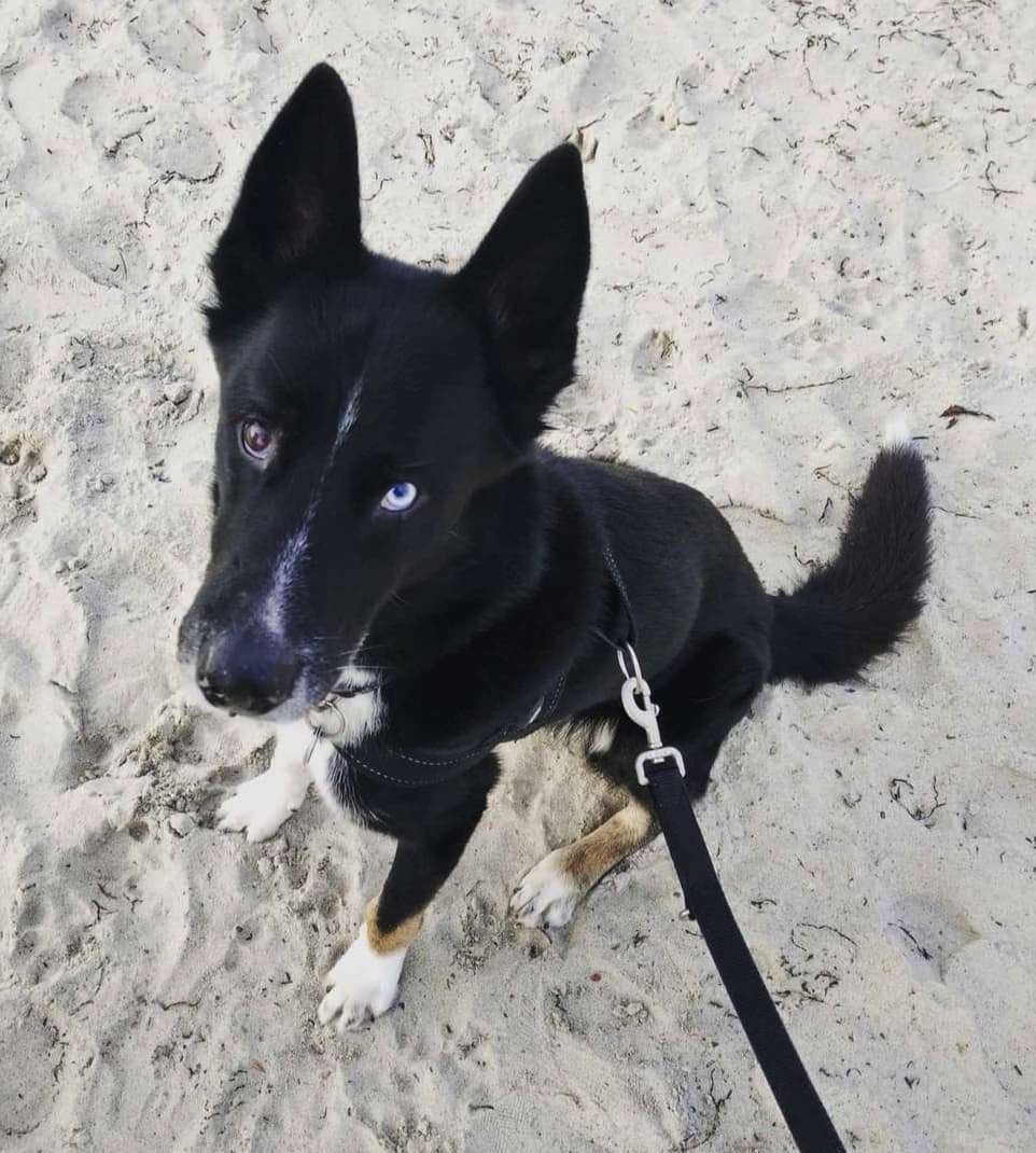 Spike