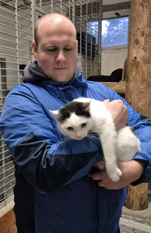 Katzen aus dem Tierheim Brandenburg
