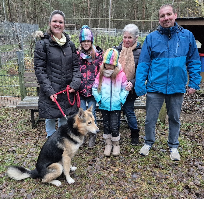 hund aus tierheim lyson 