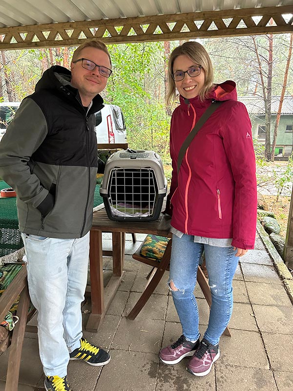 katze jante aus dem tierheim
