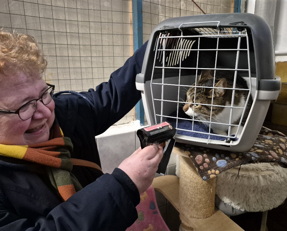 katze aus tierheim nela