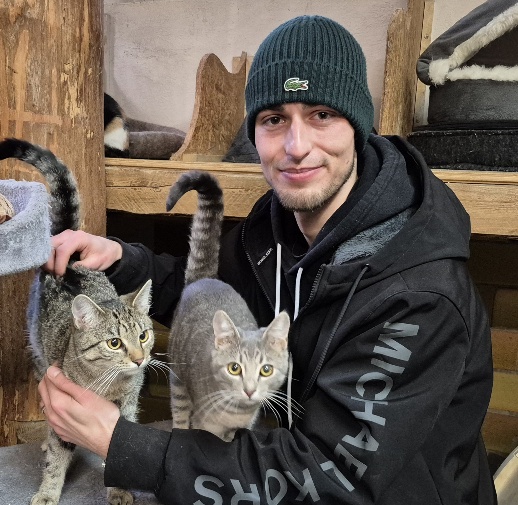 2 katzen aus dem tierheim 3