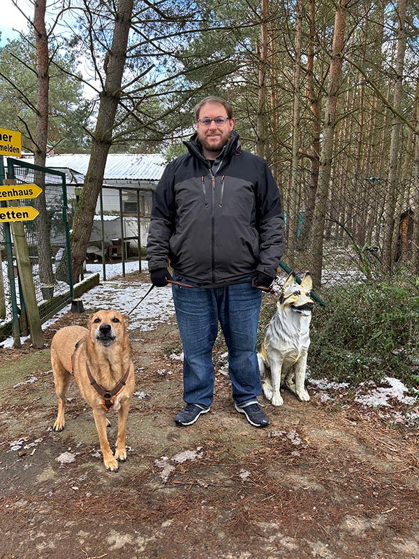 deva hund aus tierheim 2