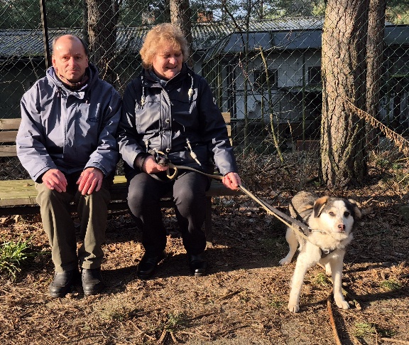 andy hund tierheim