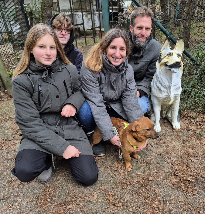 eddy - Hund aus Tierheim
