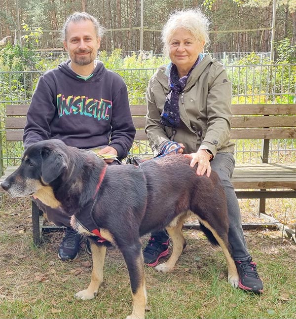 hund baghira aus dem tierheim