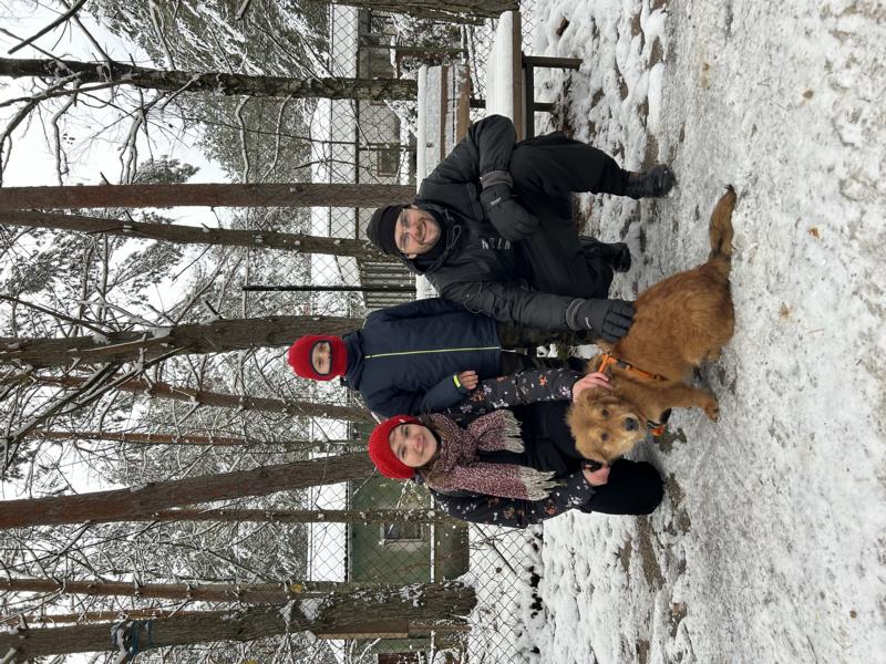 tierheim hund Teddy