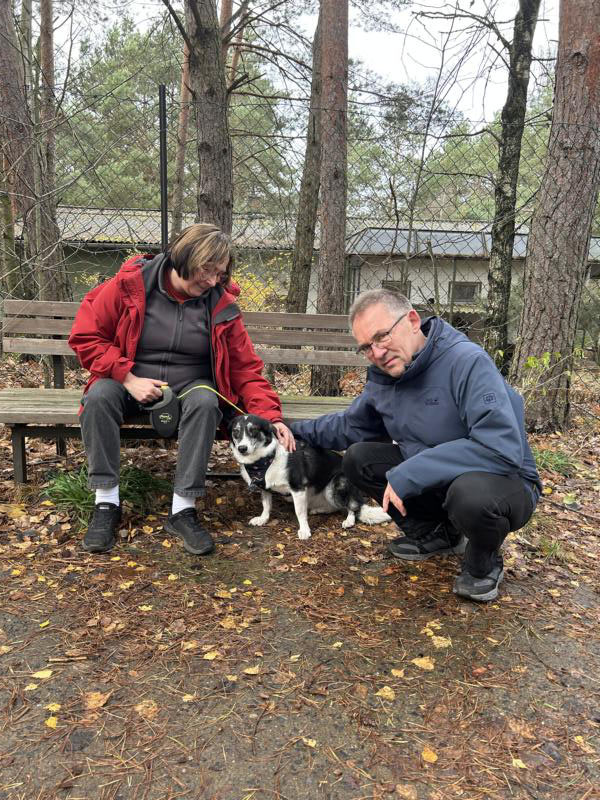 tierheim hund ronja
