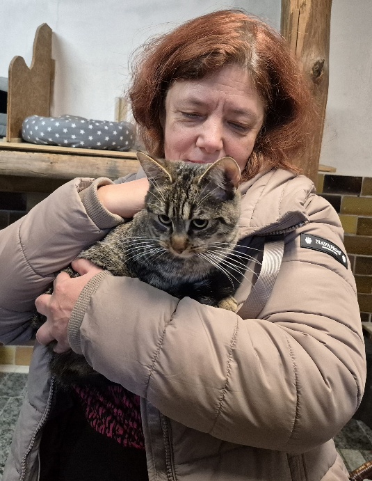 tierheimkatze molly