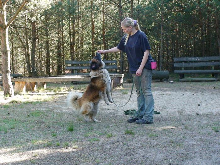 Pflegerin Ellen im Training mit Balou